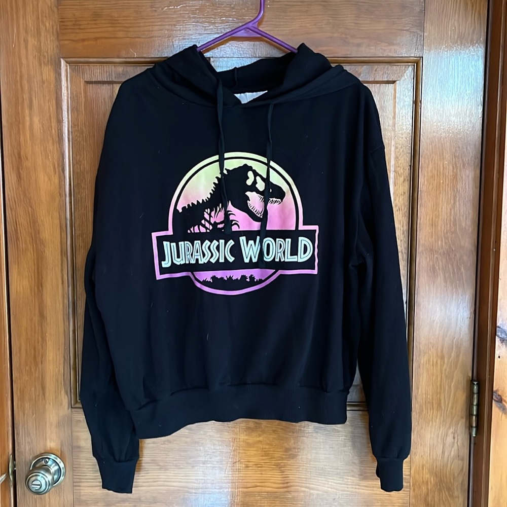 Isaac Morris Limited Jurassic World Hoodie Pullover Size XXXL